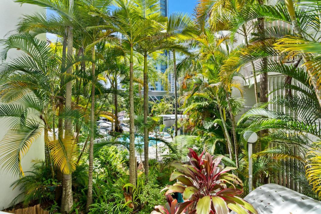 Coco Bella Dream In Surfers Paradise 黄金海岸 外观 照片